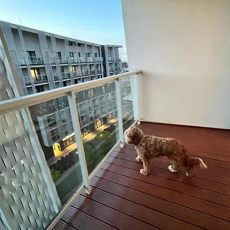 Family House By The River Odra -panoramic Terrace - 3room With 2 Separate Bedrooms And 2 Balconies By Wroapart-pl- Perfect For Family & Business アパート *