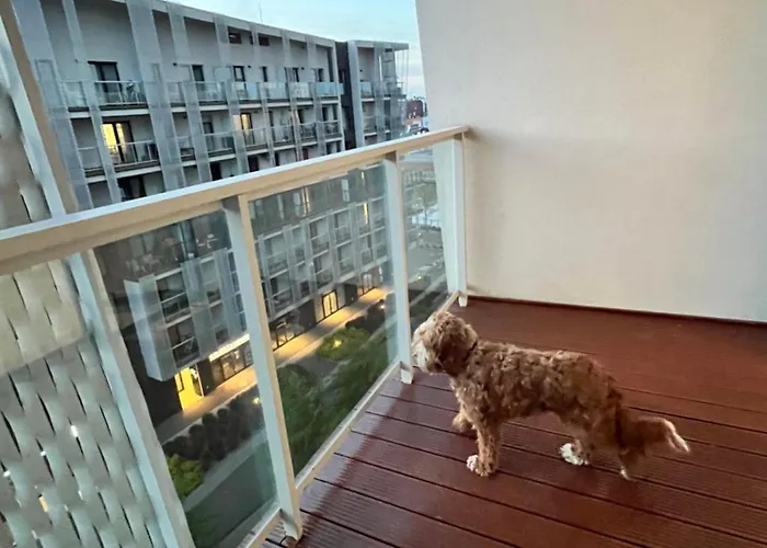 Family House By The River Odra -panoramic Terrace - 3room With 2 Separate Bedrooms And 2 Balconies By Wroapart-pl- Perfect For Family & Business Appartement *